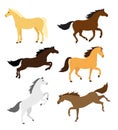 Vector set of different color flat horse poses