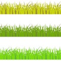 Vector set of 3 vary colors seamless pattern grass. Light green, dark green, and yellow savan style color grass props decor Royalty Free Stock Photo