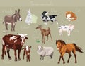 Vector set of different farm animals