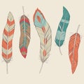 Vector set of different feathers