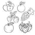 Vector set of different hand drawn fruits-Vector sketch Design