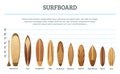 Vector set of different hawaiian surfboards isolate on white background Royalty Free Stock Photo