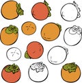 Vector set of different persimmons isolated. Ripe and silhouettes persimmons.