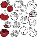 Vector set of different pomegranates isolated. Ripe, sliced and silhouettes pomegranates.