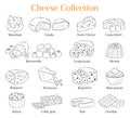 Vector set of different types of cheese, hand drawn illustration isolated on chalkboard background.