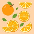 Vector set of different types of Oranges Royalty Free Stock Photo