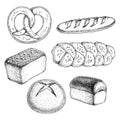 Vector set of different varieties of bread. Graphic sketch elements for bakery design. Hand drawn illustration in dashed vintage