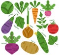Vector set different vegetables flat style