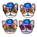 Vector Set Dog french bulldog puppy in a cap and fun round glasses. Hand drawn illustration