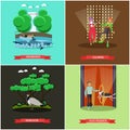 Vector set of dolphinarium and circus show posters, flat style