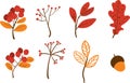 Vector set of doodle autumn floral element Royalty Free Stock Photo