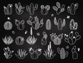 Vector Set of Doodle Cactus and Succulent Plants