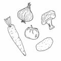 Vector set with doodle drawings of vegetables: carrots, tomatoes, potatoes, broccoli, onions, garlic Royalty Free Stock Photo