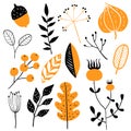 Vector set of doodle floral elements Royalty Free Stock Photo