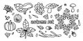 Vector set of doodle illustrations of autumn leaves, mushrooms. Line drawings on a white isolated background. Design of