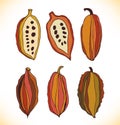 Vector set with drawn cocao beans. Beauty collection Royalty Free Stock Photo