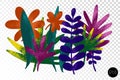 Vector set of drawn tropical leaves, colorful artistic botanical illustration, isolated floral minimalistic elements