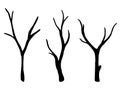 Vector set of dry tree branches. Isolated botanical objects on a white background. Black branch silhouette, simple doodle Royalty Free Stock Photo