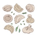 Vector set of dumplings with spice. Cartoon hand drawn Ravioli. Vareniki. Pelmeni. Meat dumplings. Food. Cooking