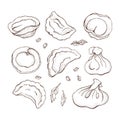 Vector set of dumplings with spice. Sketch hand drawn Ravioli. Vareniki. Pelmeni. Meat dumplings. Food. Cooking