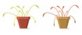 Vector set of dying home plants