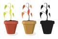 Vector set of dying home plants