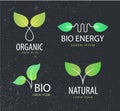 Vector set of eco logos, leaves, organic