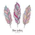 Vector set of ethnic feathers. Decorative colorful feather.