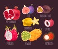 Set of exotic fruit Royalty Free Stock Photo