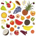 Vector set of exotic fruits. Template with colorful fruits for design menus, recipes