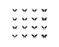 Vector set of fantasy butterfly wings isolated on white