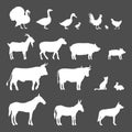 Vector Set of Farm Animals White Silhouettes Royalty Free Stock Photo