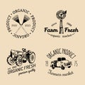 Vector set of farm fresh logotypes. Bio products badges collection. Vintage hand sketched agricultural equipment icons. Royalty Free Stock Photo