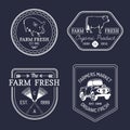 Vector set of farm fresh logotypes. Bio products badges collection. Vintage hand sketched agricultural equipment icons. Royalty Free Stock Photo