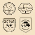 Vector set of farm fresh logotypes. Bio products badges collection. Vintage hand sketched agricultural equipment icons. Royalty Free Stock Photo