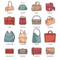 Vector set with fashion bags