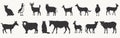 Farm Animal Vector Set - Collection of Black Silhouettes Isolated on White Background Royalty Free Stock Photo