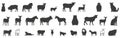 Farm Animal Vector Set - Collection of Black Silhouettes Isolated on White Background Royalty Free Stock Photo