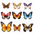 Colorful Butterfly Set: Hyper-realistic Illustrations In 3d Royalty Free Stock Photo