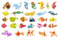 Vector set of fish illustrations.