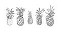 Vector set of five pineapple fruit. Tropical summer vacation collection. Design for print. Black and white illustration Royalty Free Stock Photo