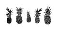 Vector set of five pineapple fruit. Tropical summer vacation collection. Design for print. Black and white illustration