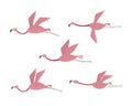 Vector set with flamingos. Flamingos flying isolated on a white background. Hand drawn illustration. Royalty Free Stock Photo