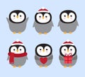 Vector set of flat cartoon different penguin Royalty Free Stock Photo