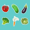 Vector set of flat cartoon vegetables stickers. Vector background. Flat icon. Vegetarian sticker. Healthy food sticker. Raw food