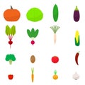 Vector set flat colored vegetables icon