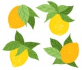 Vector set of flat hand drawn lemons with foliage isolated from background. Collection of citrus fruits with leaves cliparts Royalty Free Stock Photo