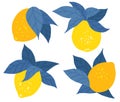 Vector set of flat hand drawn yellow lemons with blue foliage isolated from background. Collection of contrast citrus fruits with Royalty Free Stock Photo