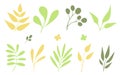Vector set of flat illustrations of leaves, plants, tree branches. Simple silhouettes collection Royalty Free Stock Photo