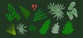Vector set of flat illustrations of plants, trees, leaves, branches, bushes. Flat cartoon vector illustration